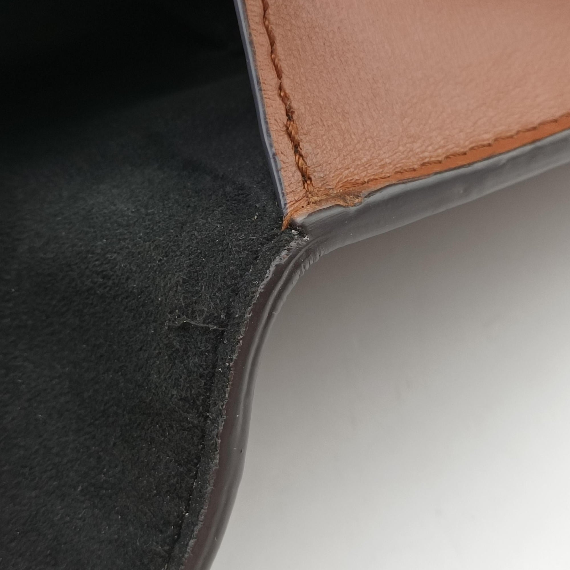 Pre-owned Louis Vuitton Dauphine Mini Brown Monogram Reverse M44580 shoulderbag | stylenewstar