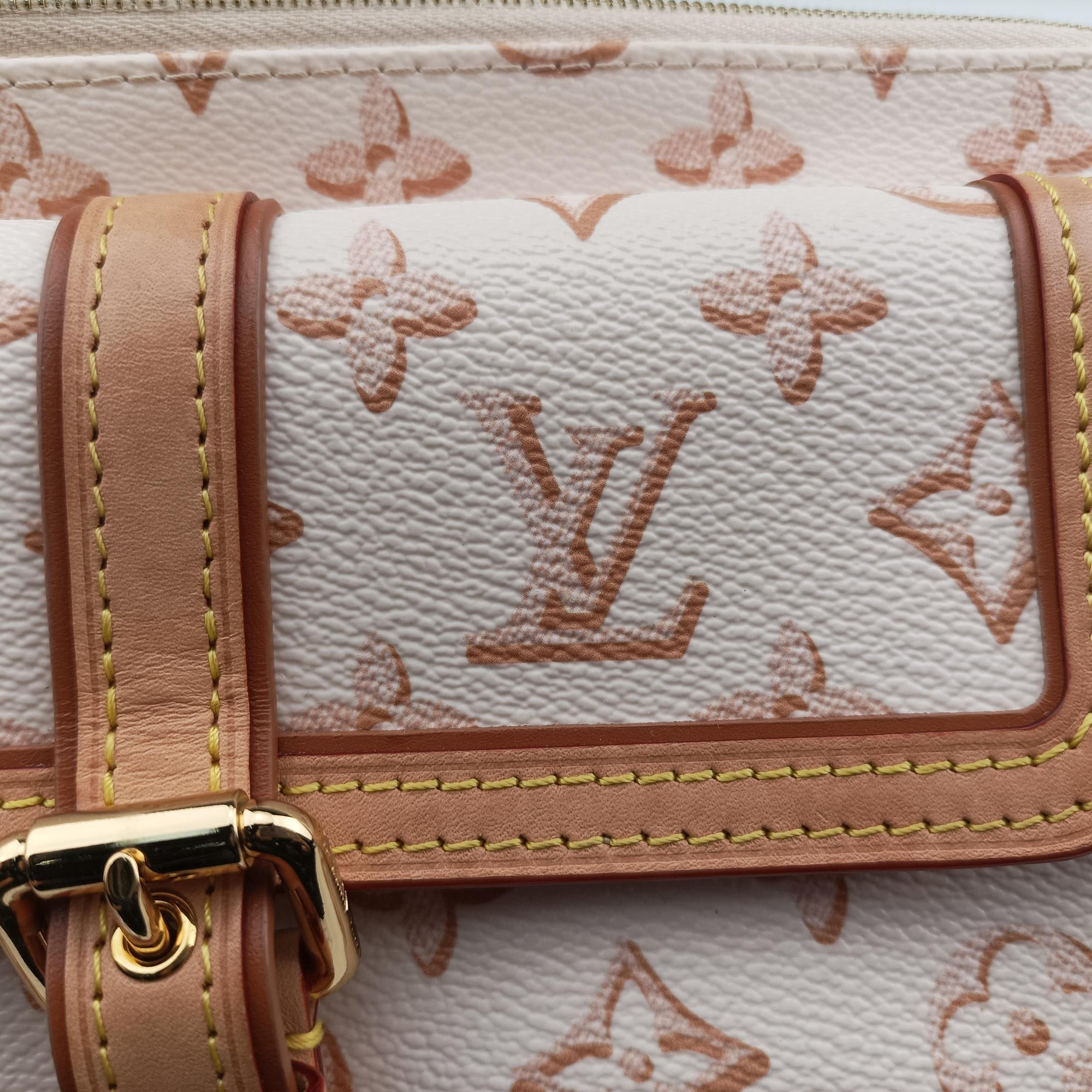 Pre-owned Louis Vuitton Maxi Pochette Accessoires Ivory x Brown PVC-coated canvas M20920 shoulderbag | stylenewstar