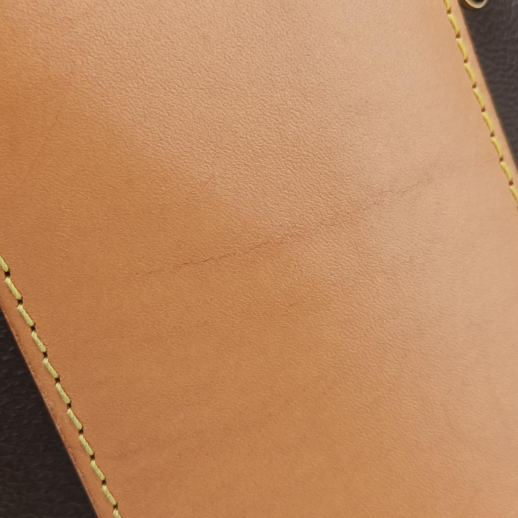 Vintage Louis Vuitton Cannes Brown Monogram Reverse Giant M44603 shoulderbag | stylenewstar