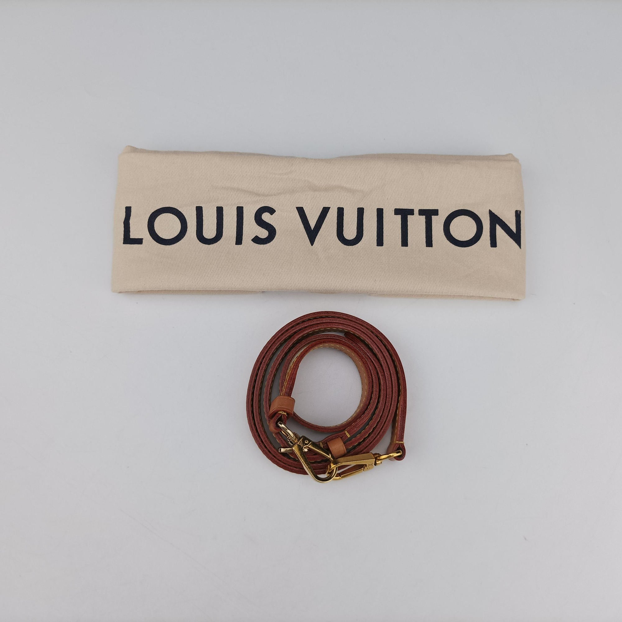 Vintage Louis Vuitton Cannes Brown Monogram Reverse Giant M44603 shoulderbag | stylenewstar