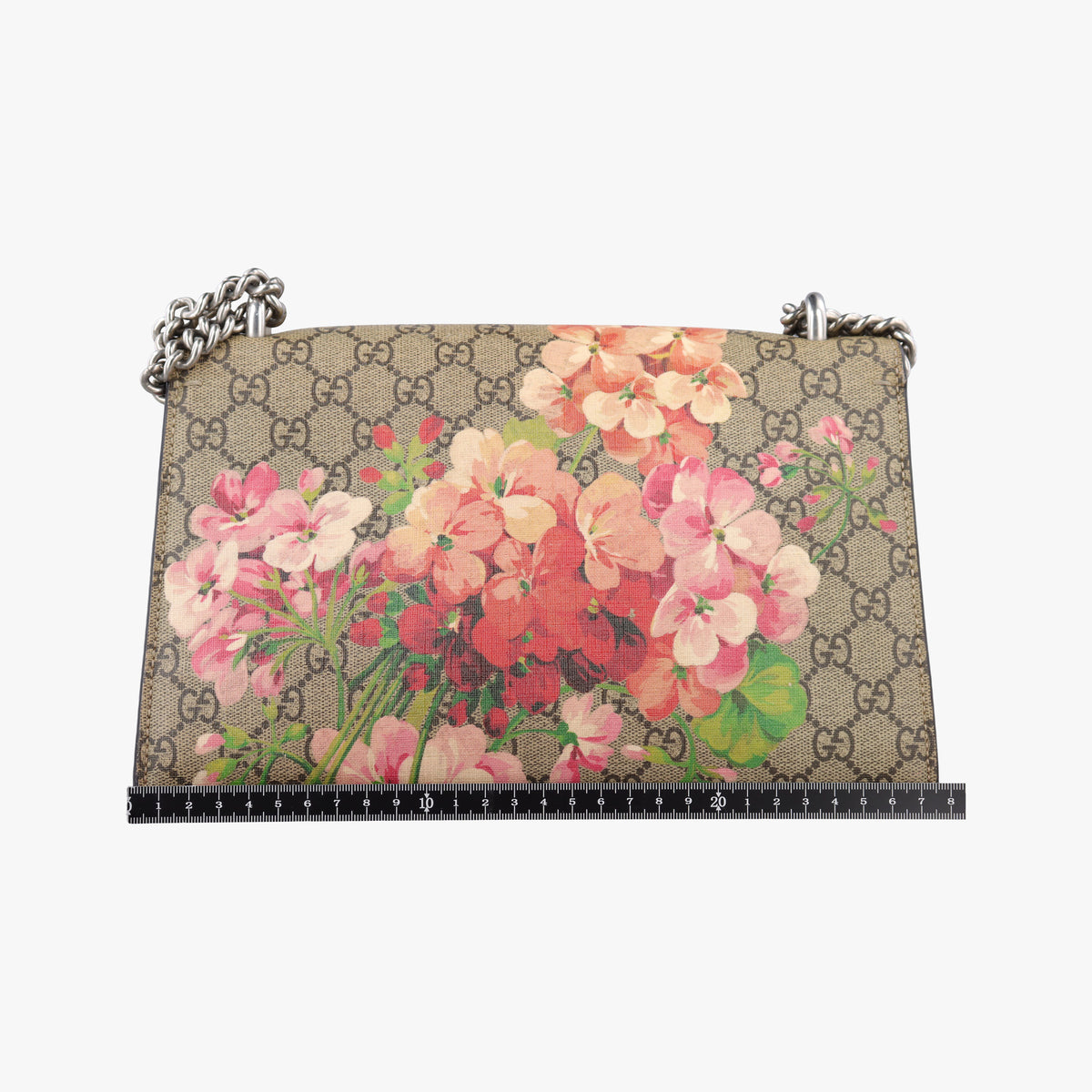Pre-owned Gucci Dionysus beige×multicolor PVC coated canvas×suede 400249 shoulderbag | stylenewstar