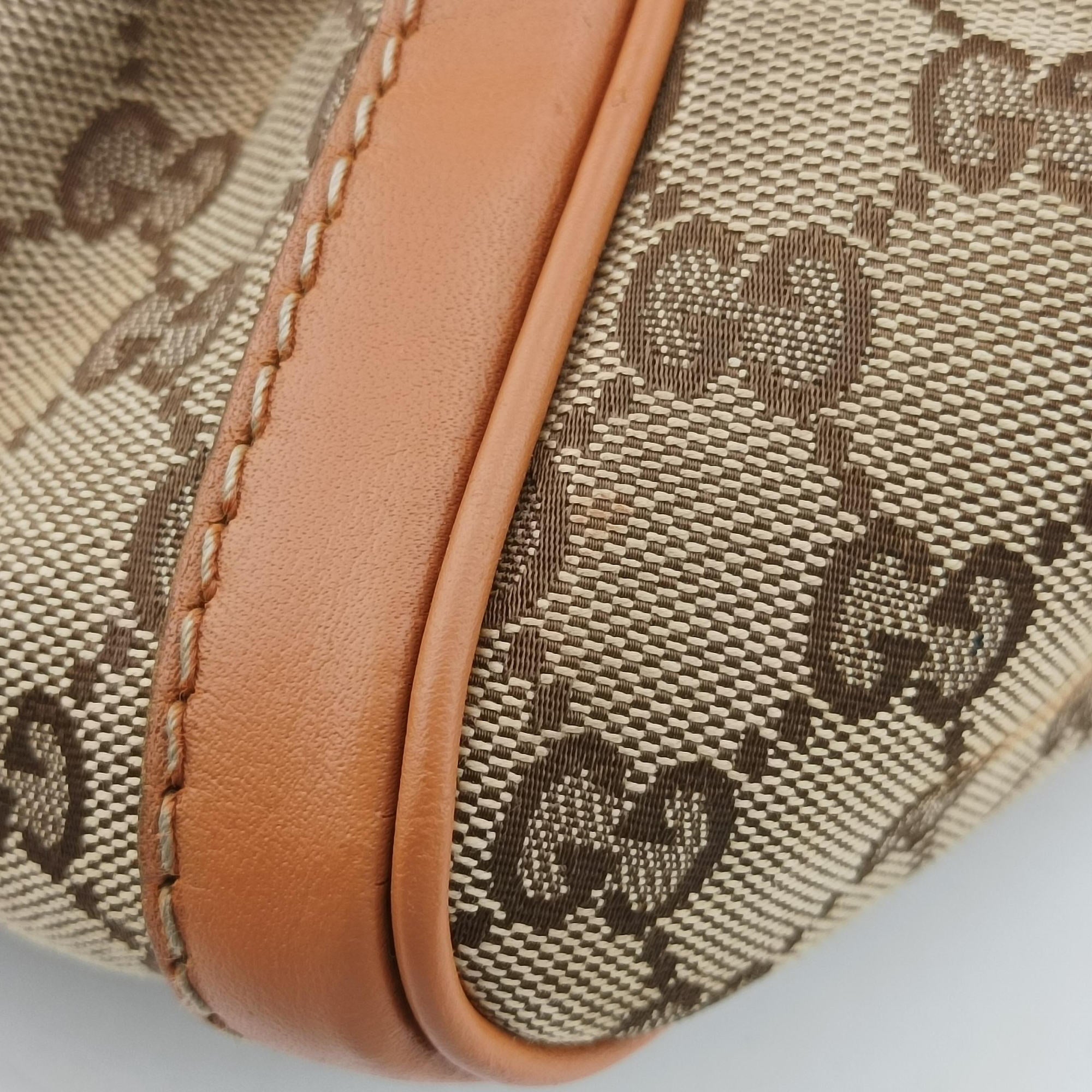 Pre-owned Gucci Sherry Line Multicolour canvas×leather 247205 handbag | stylenewstar