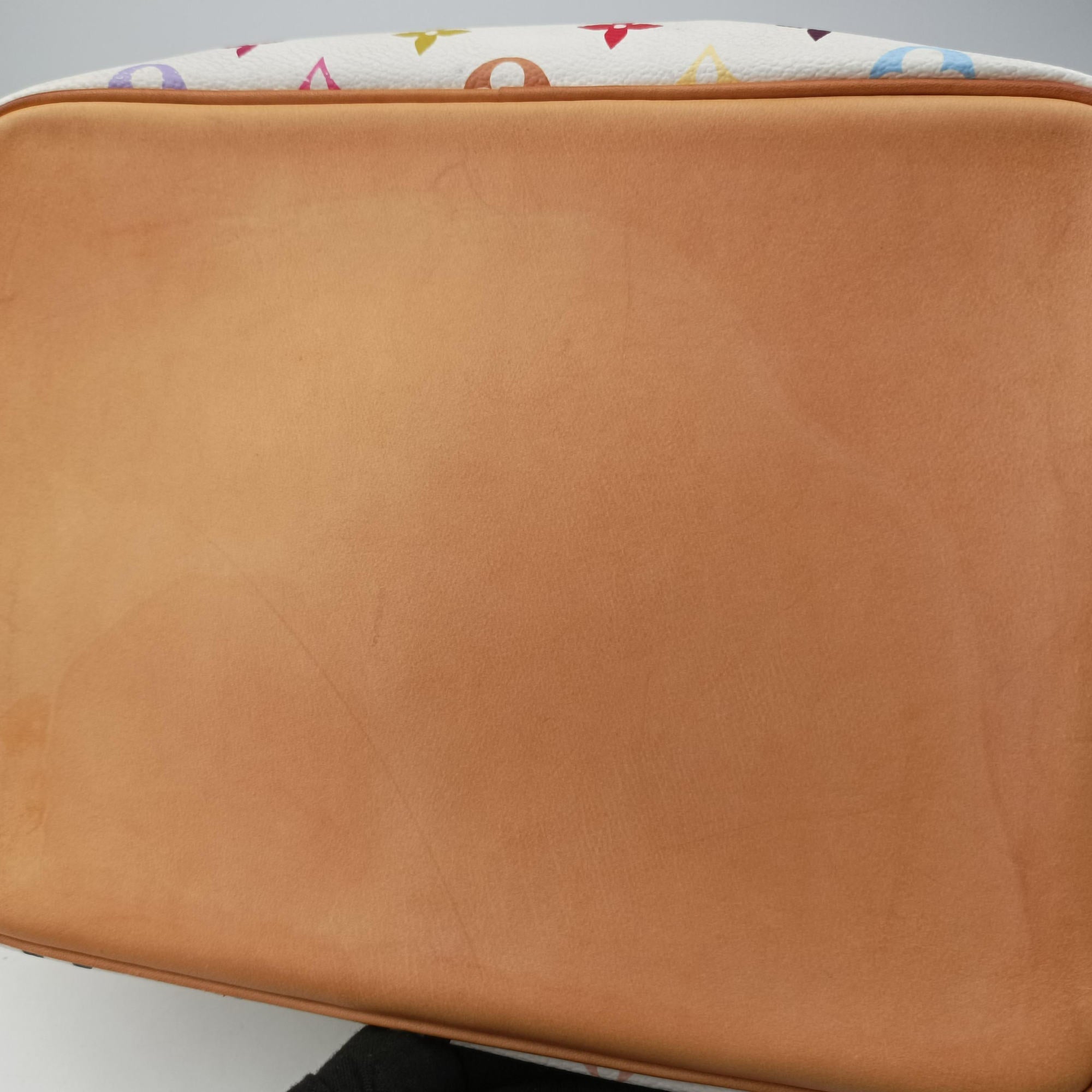 Pre-owned Louis Vuitton Petit NOe white Monogram Multicolor M42229 shoulderbag | stylenewstar