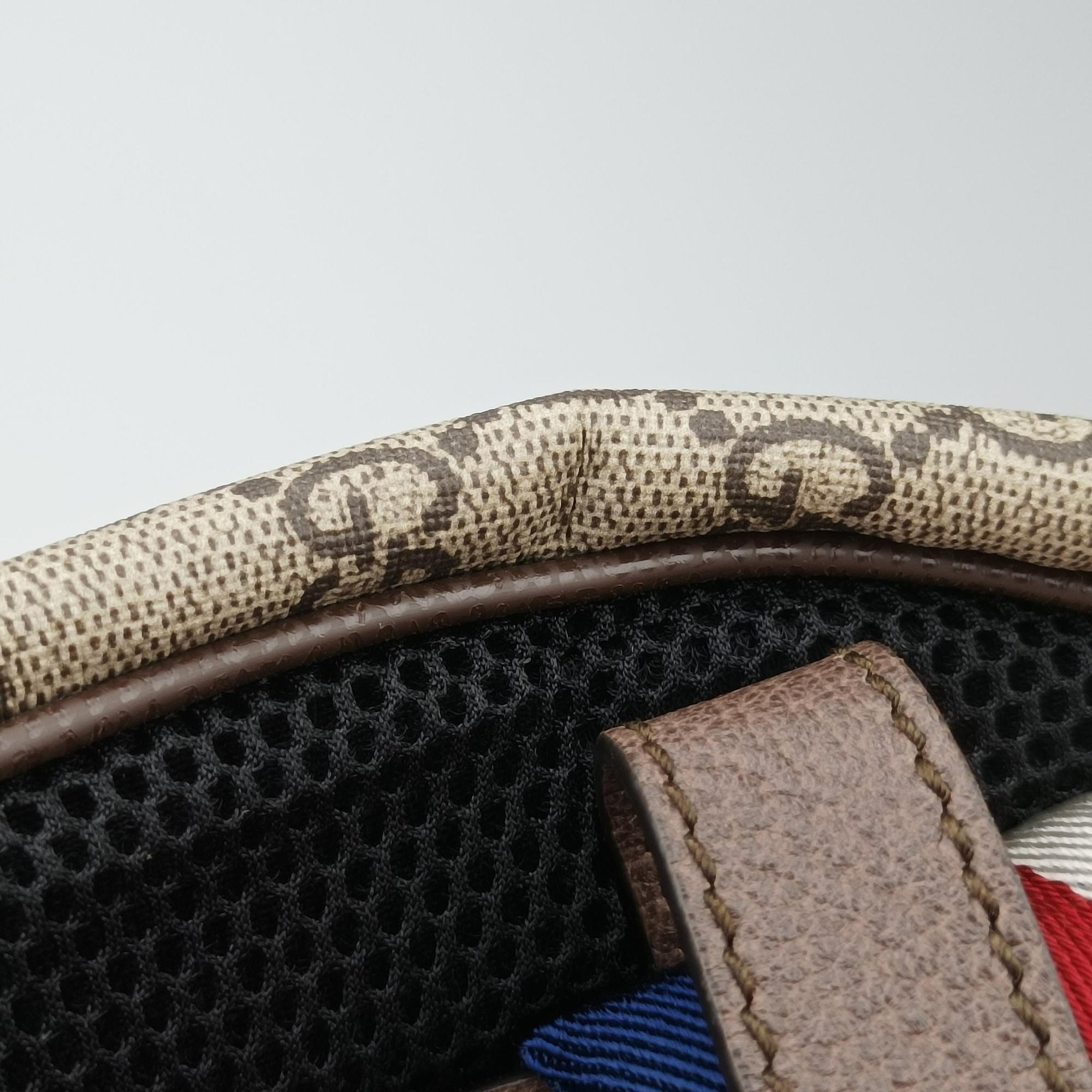 Pre-owned Gucci GG Supreme Bosco dog print Beige×Multicolour PVC coated canvas 495621 backpack/rucksack | stylenewstar