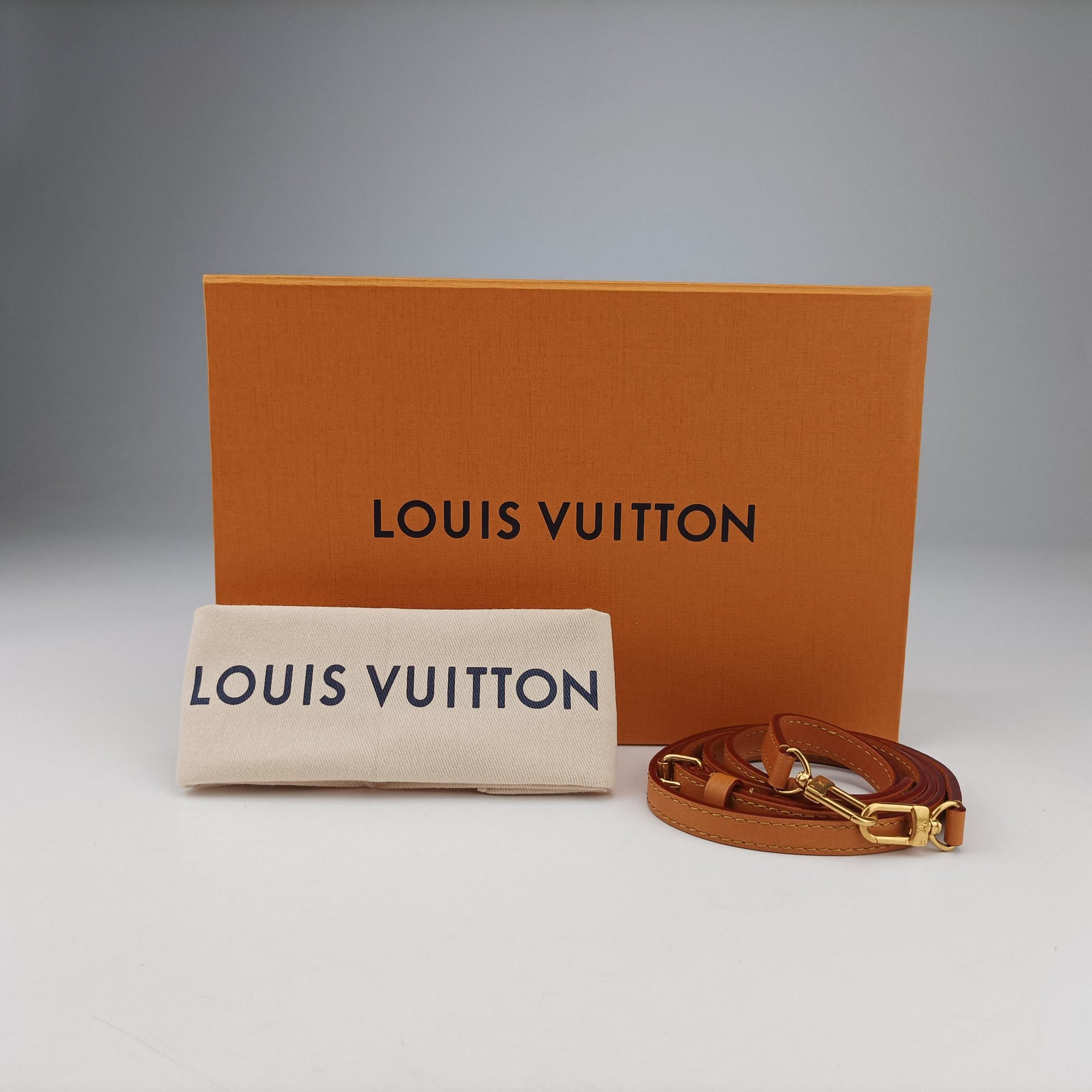 Vintage Louis Vuitton Envelope Pouch Brown Monogram Dust x Leather M11629 shoulderbag | stylenewstar