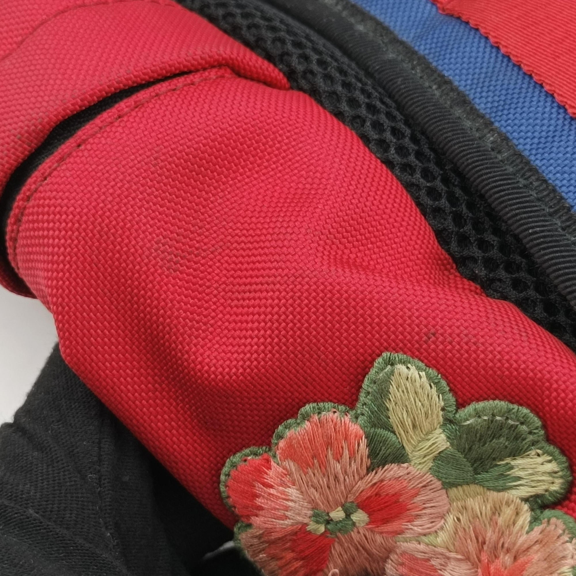 Pre-owned Gucci Techno Vintage Web L'Aveugle Par Amour Embroidered Red canvas 478327 backpack/rucksack | stylenewstar
