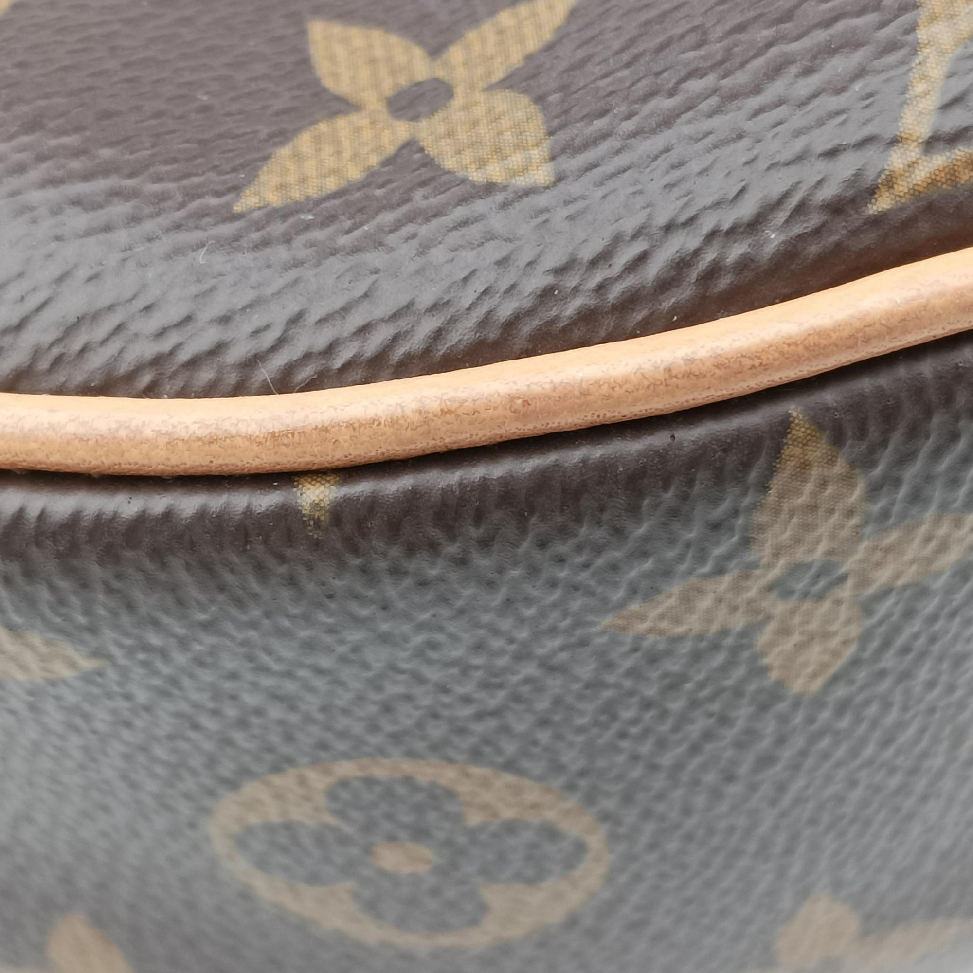 Pre-owned Louis Vuitton LOOP Brown×Beige Monogram Canvas M81098 shoulderbag | stylenewstar