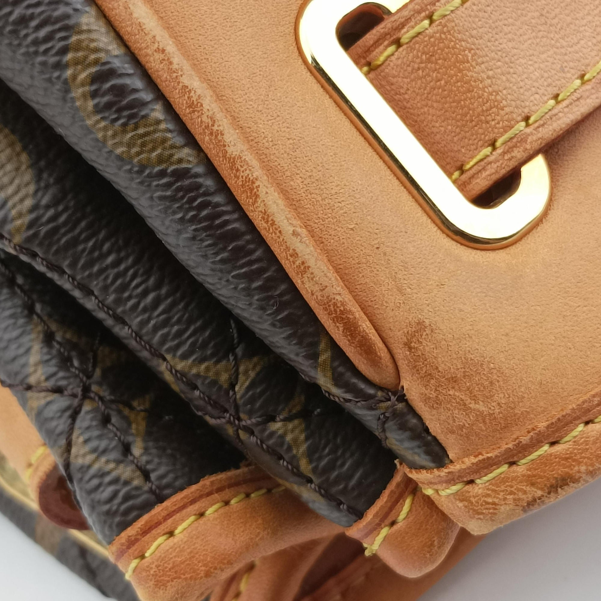 Pre-owned Louis Vuitton shopper Brown Monogram Etoile M41434 handbag | stylenewstar