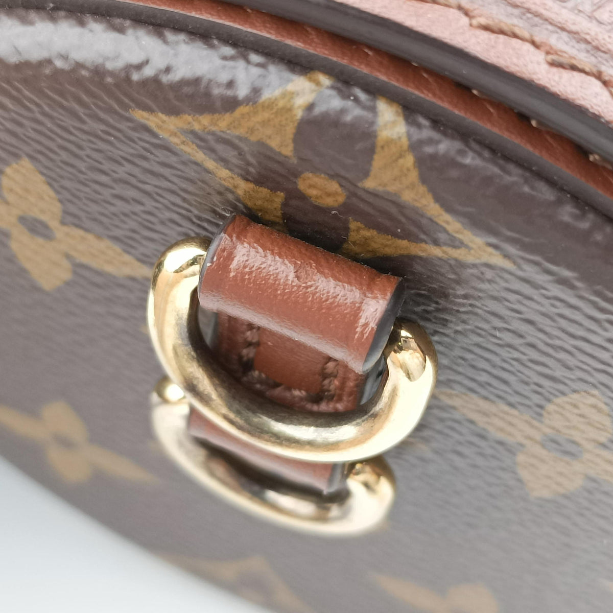 Secondhand Louis Vuitton Papillon Trunk Brown Monogram Canvas×calf leather M57835 shoulderbag | stylenewstar
