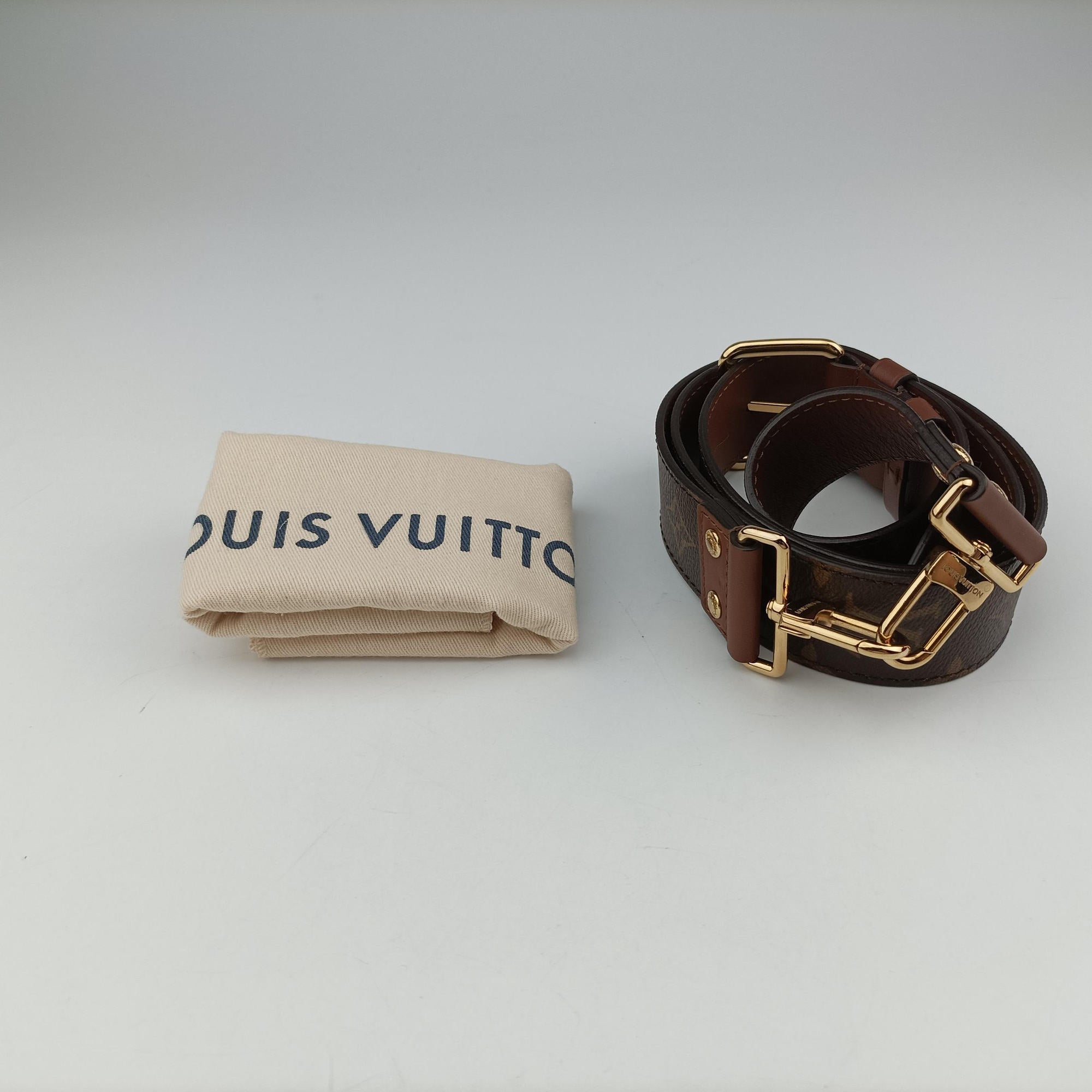 Secondhand Louis Vuitton Papillon Trunk Brown Monogram Canvas×calf leather M57835 shoulderbag | stylenewstar