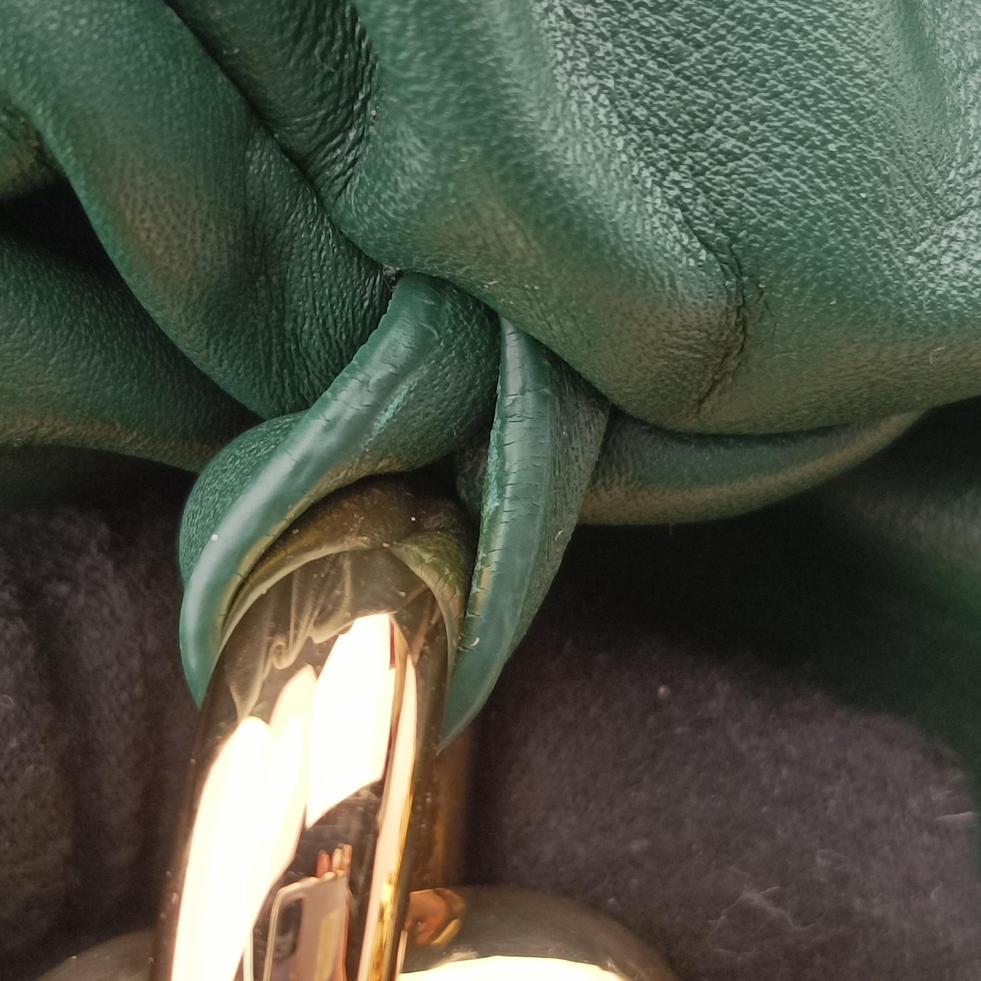 Secondhand Bottega Veneta THE Chain Pouch Green lambskin  shoulderbag | stylenewstar