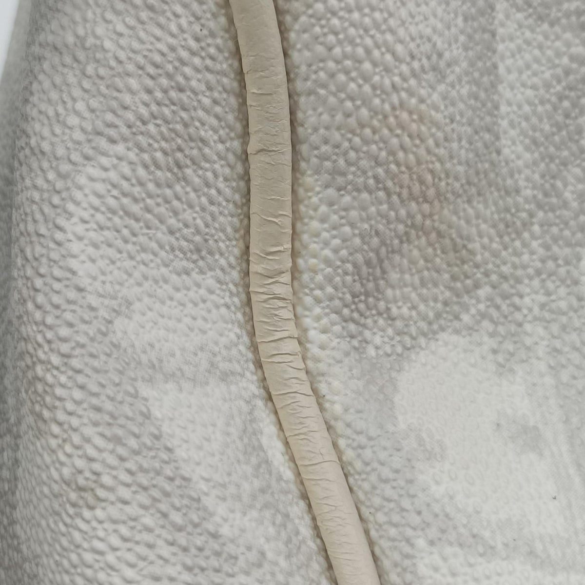 Pre-owned Christian Dior Romantique Trotter White PVC coated canvas  shoulderbag | stylenewstar