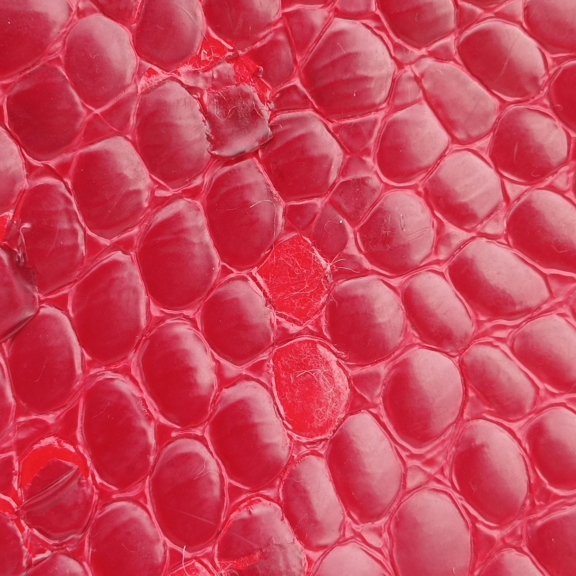 Pre-owned Christian Dior Croc Red Leather  handbag | stylenewstar
