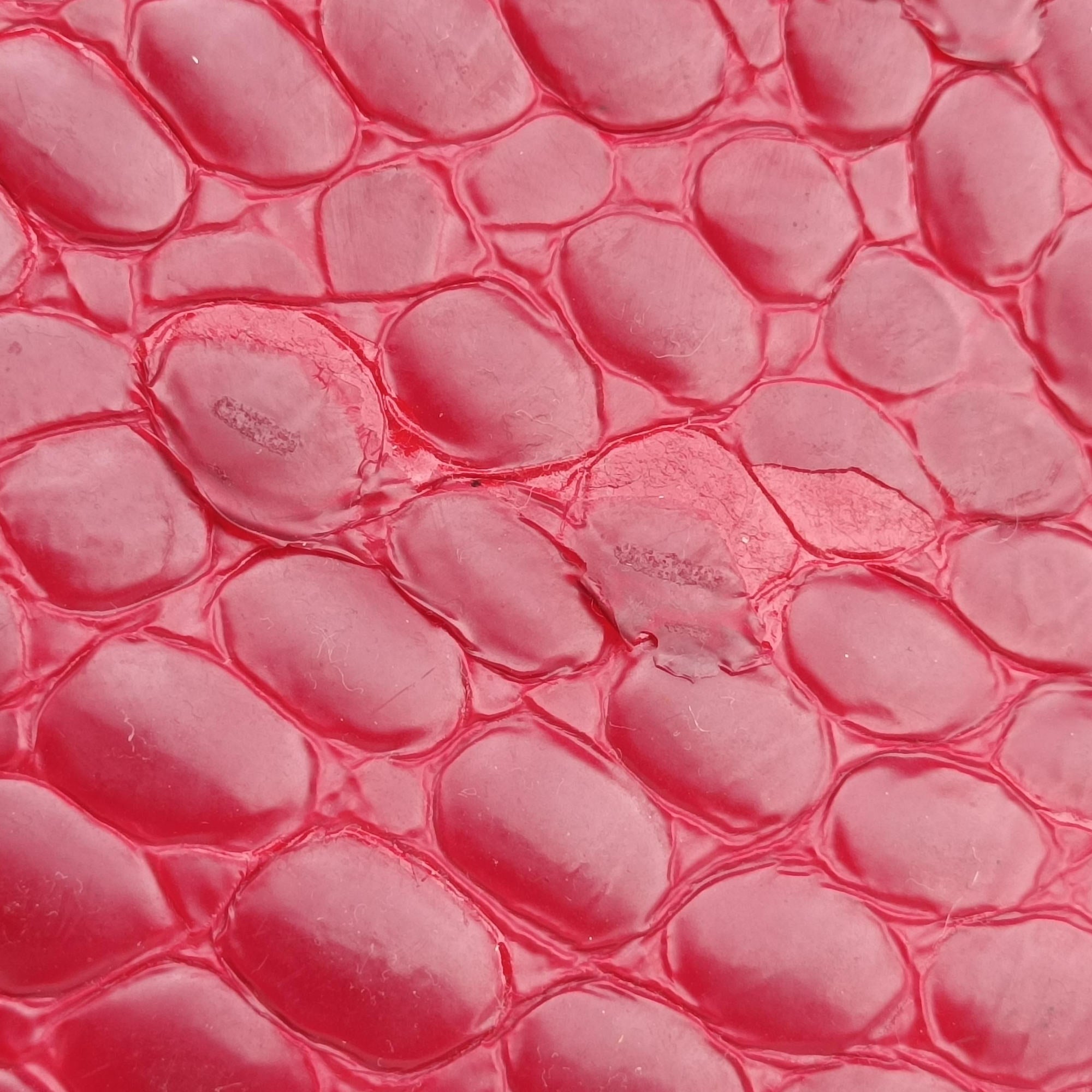 Pre-owned Christian Dior Croc Red Leather  handbag | stylenewstar
