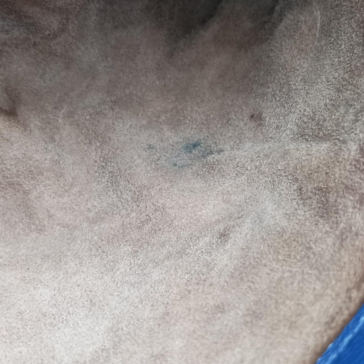 Secondhand Bottega Veneta Intrecciato Olimpia Blue lambskin  shoulderbag | stylenewstar
