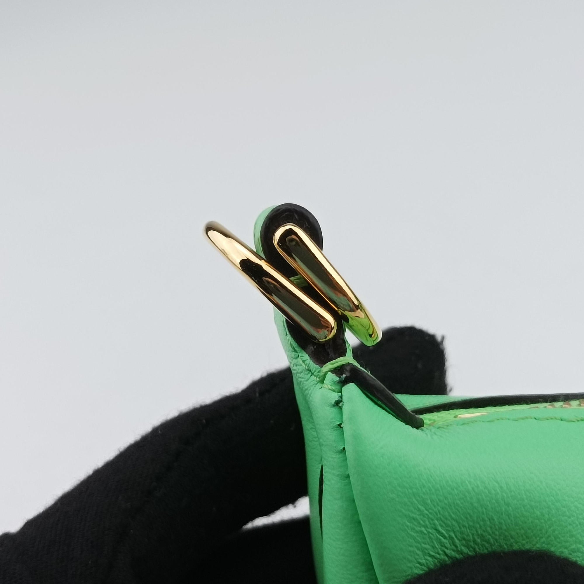 Vintage Fendi Nano Fendigraphy Green Leather 7AS089 handbag | stylenewstar