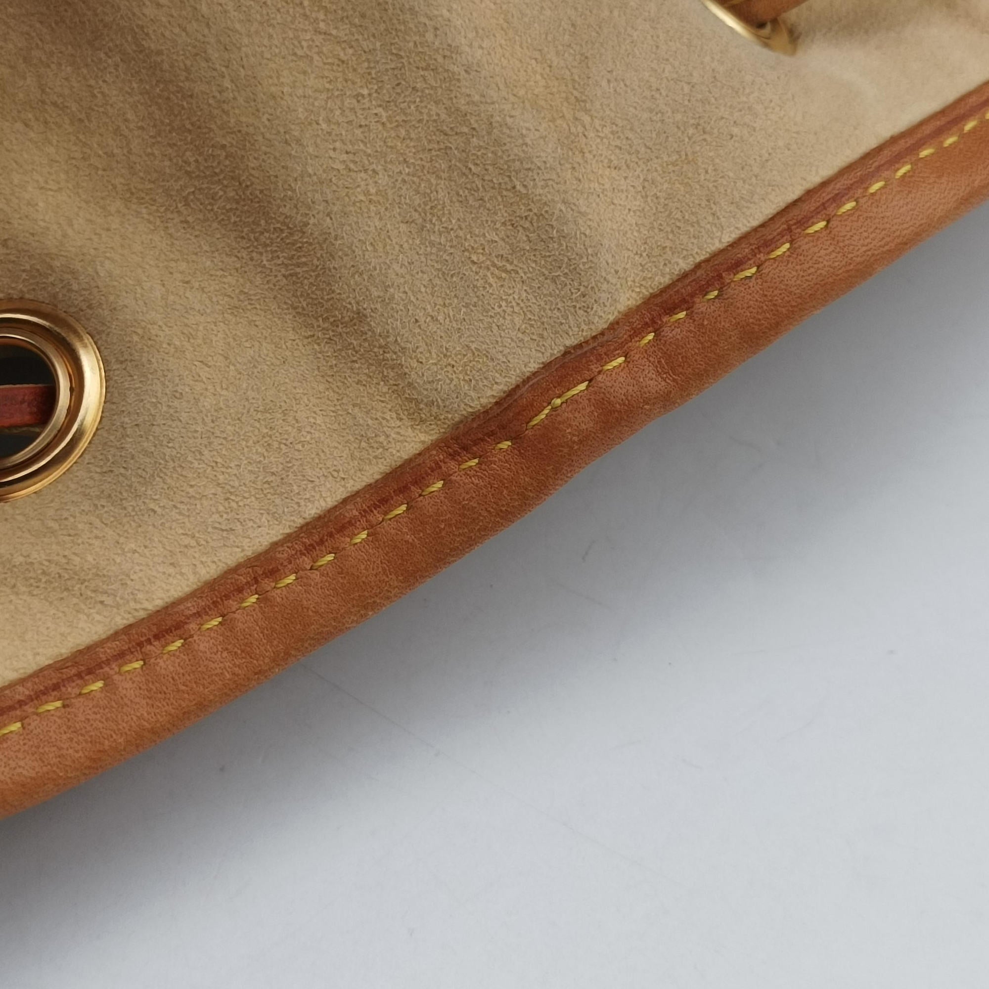 Secondhand Louis Vuitton Neo brown×Argent Monogram Eden M40355 shoulderbag | stylenewstar