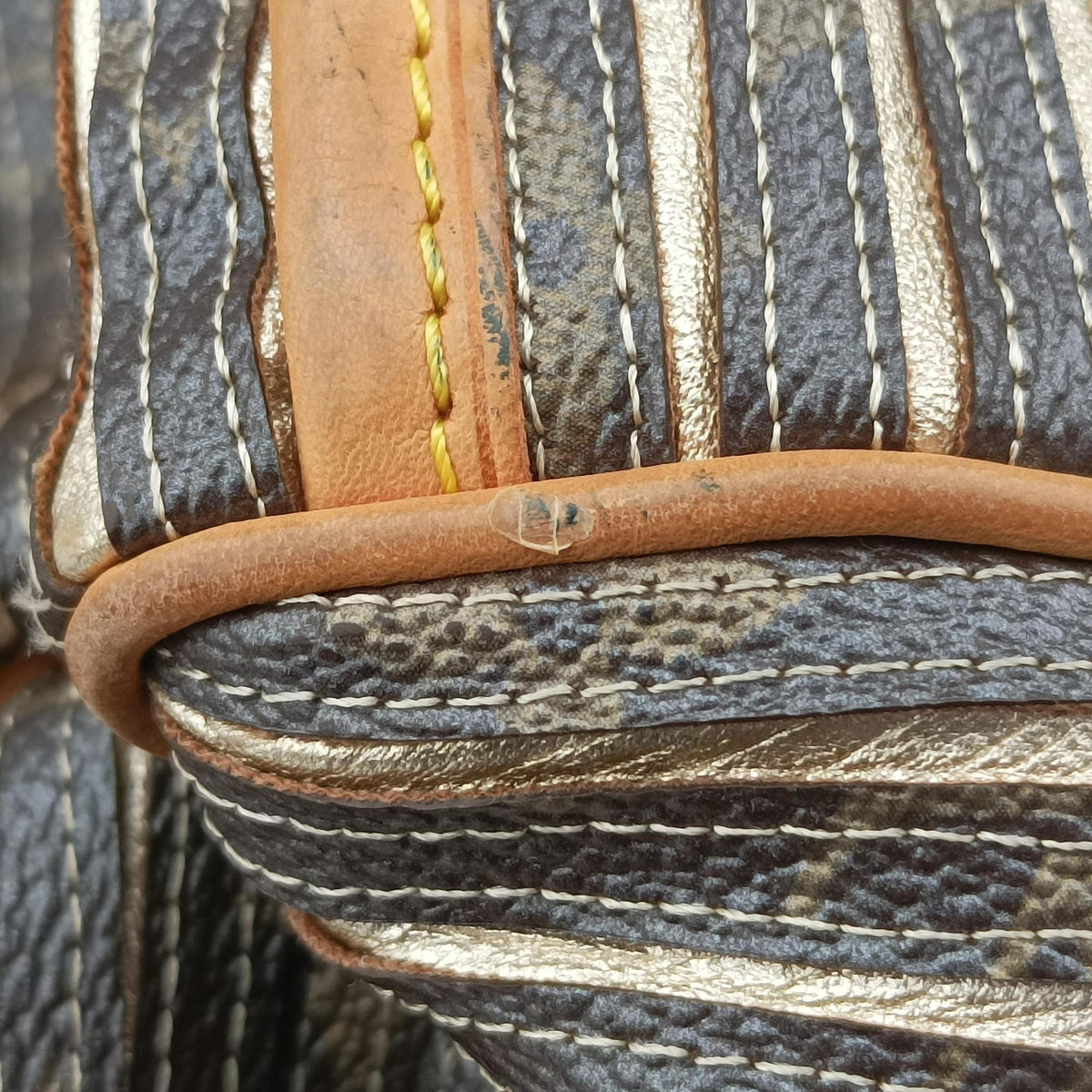 Pre-owned Louis Vuitton Eden Speedy Bandouliere 30 Argent Monogram Eden Canvas M40358 shoulderbag | stylenewstar