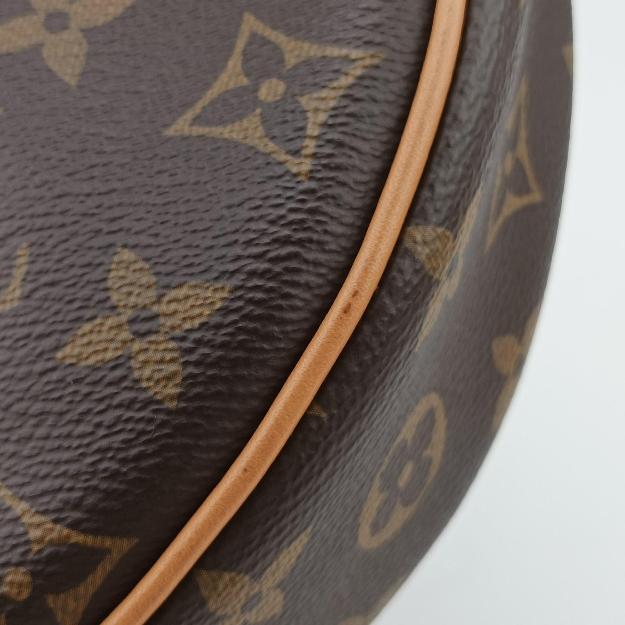 Pre-owned Louis Vuitton LOOP Brown PVC coated canvas M81098 shoulderbag | stylenewstar