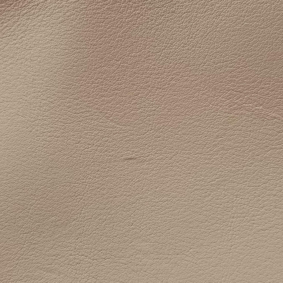 Secondhand Christian Dior Diorissimo Beige Leather  shoulderbag | stylenewstar