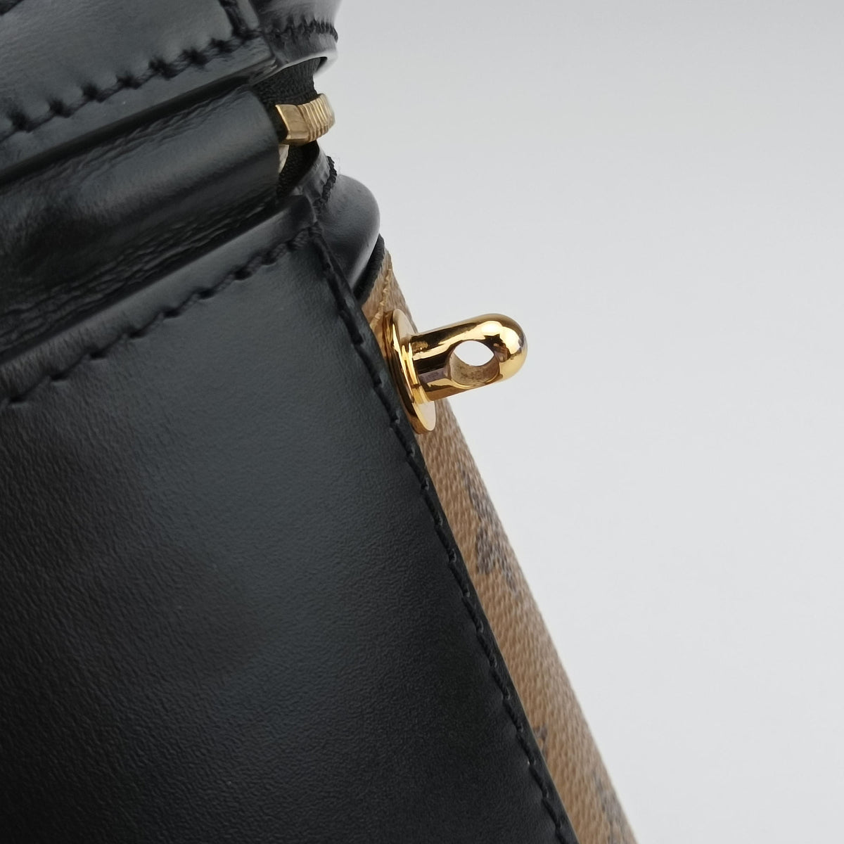 Pre-owned Louis Vuitton Cannes Brown × Black Monogram Reverse M43986 shoulderbag | stylenewstar